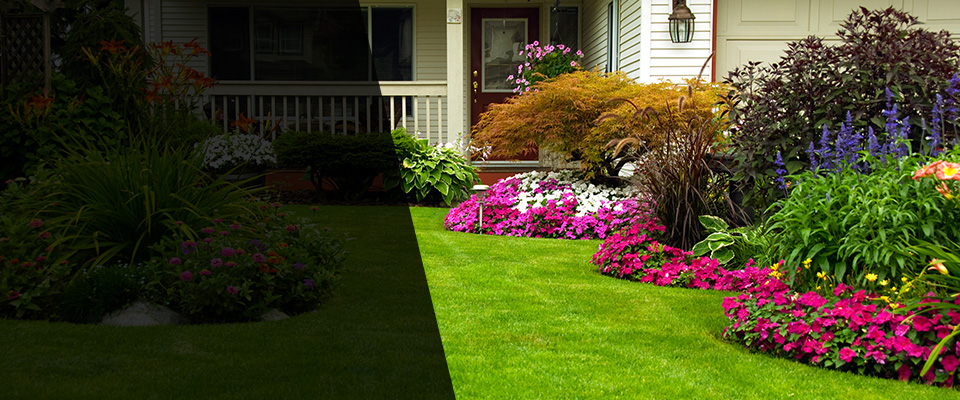 Sultan Landscapers