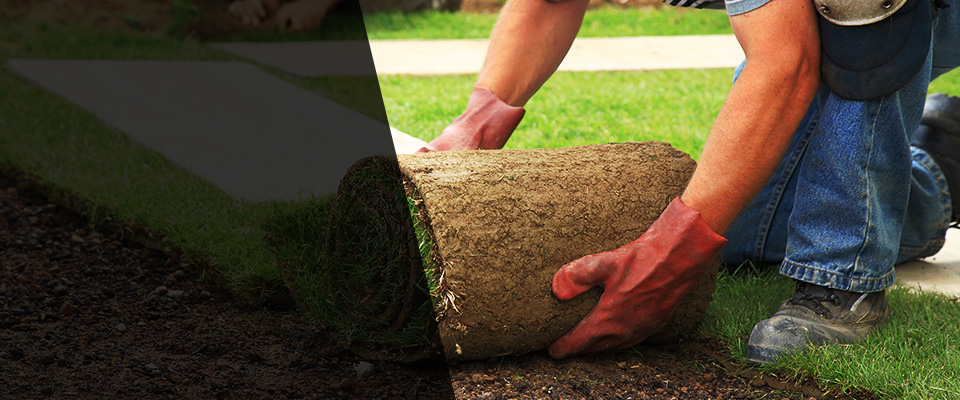 Sultan Landscapers